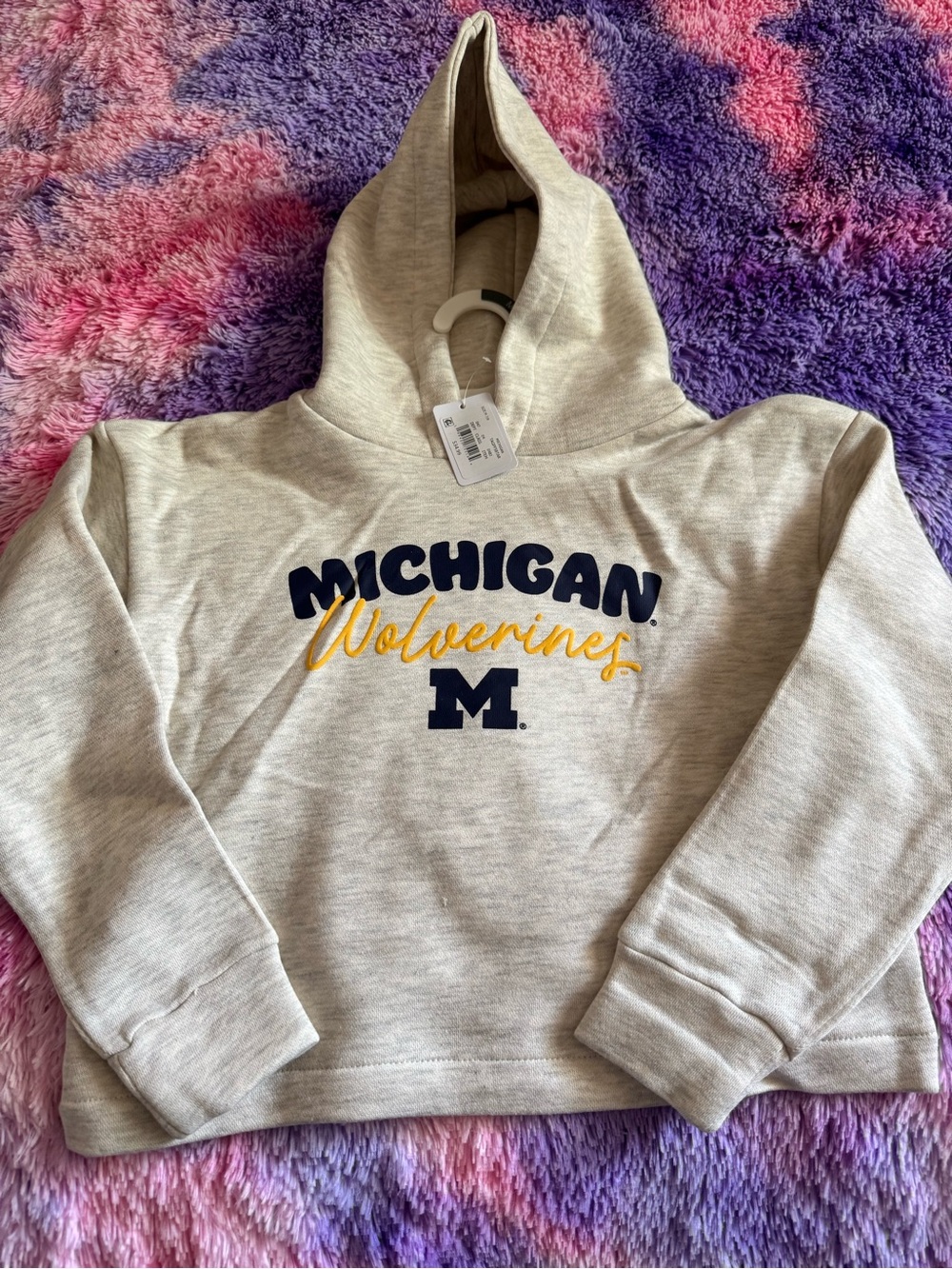 Rivalry Threads Michigan Wolverines Hoodie